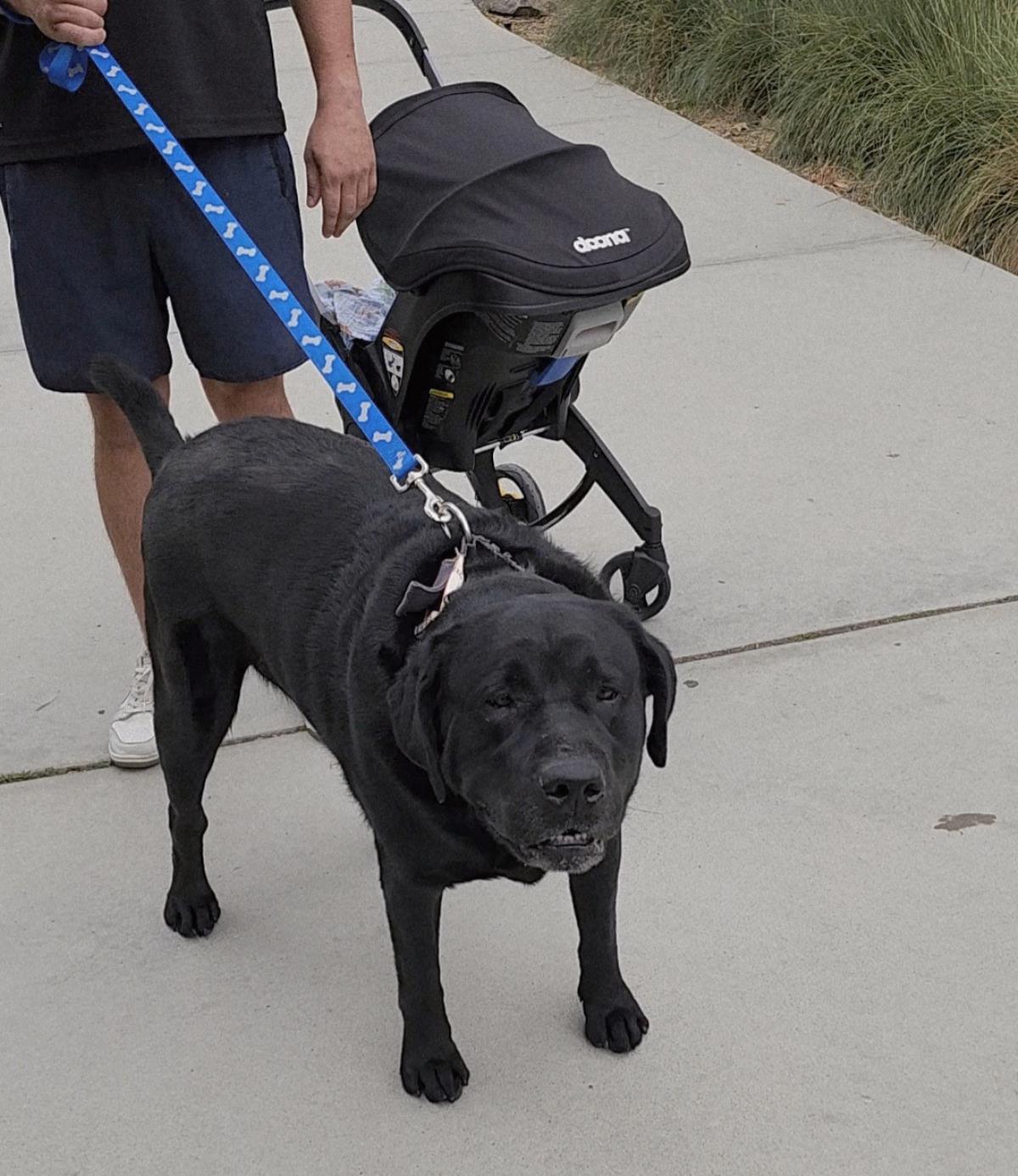 Jax
