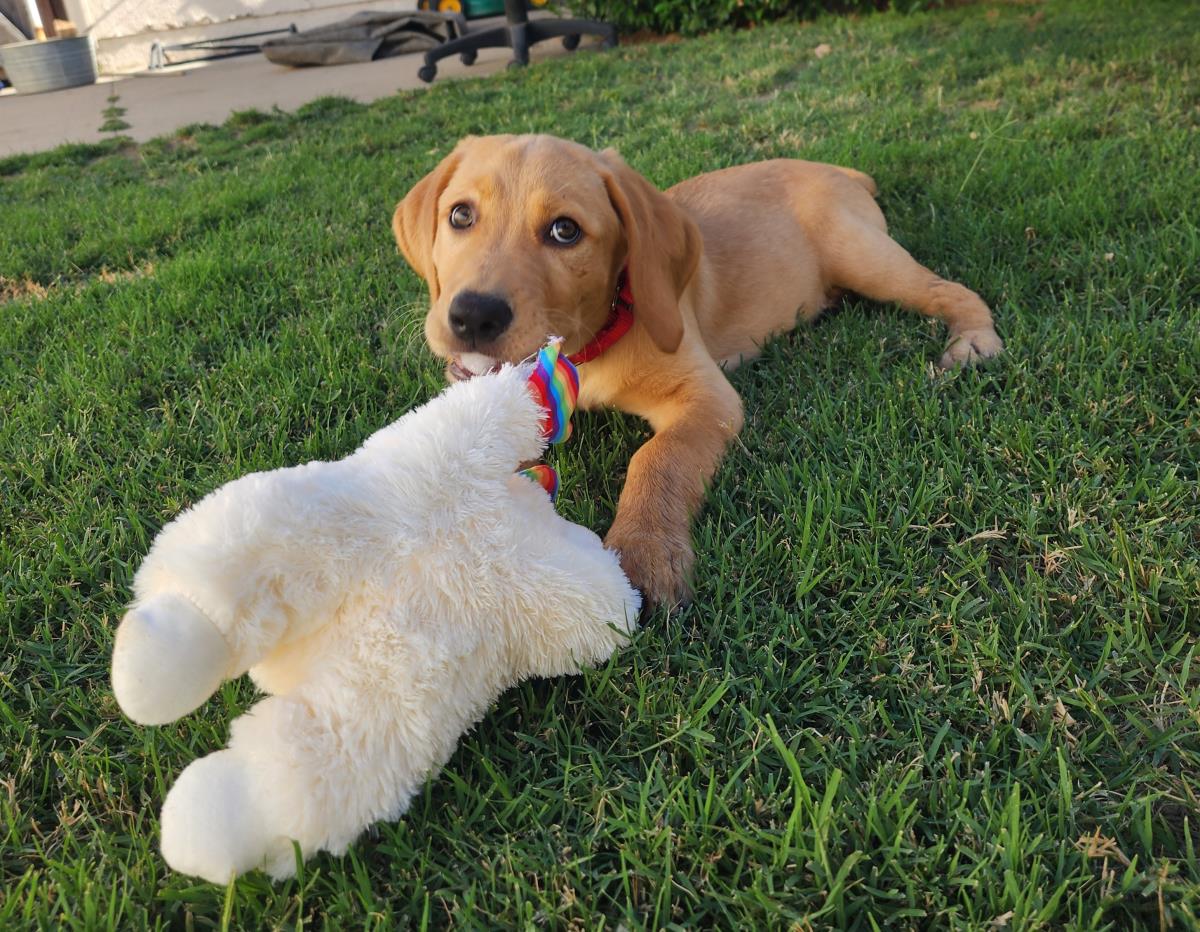 Jax