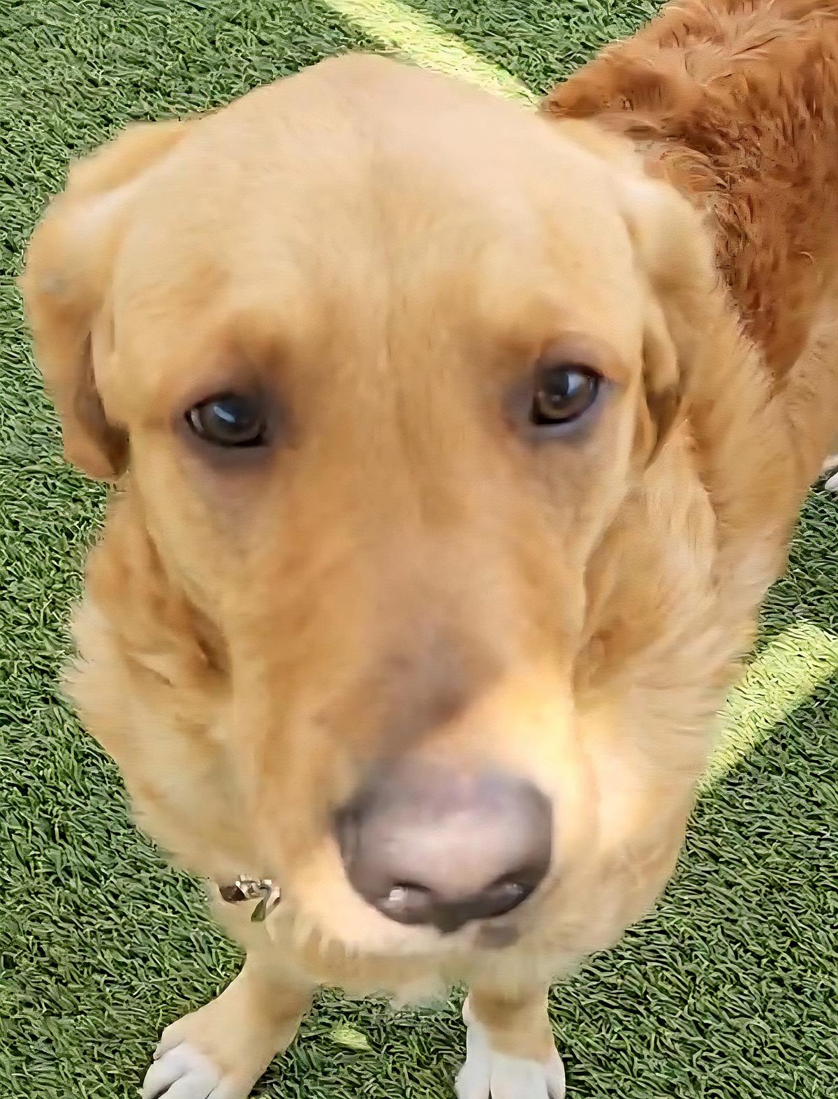 Benny
