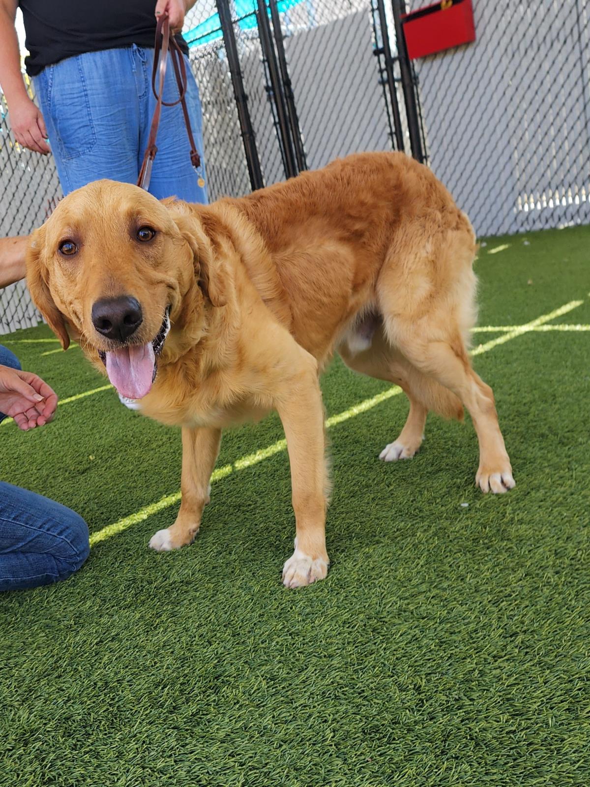 Benny