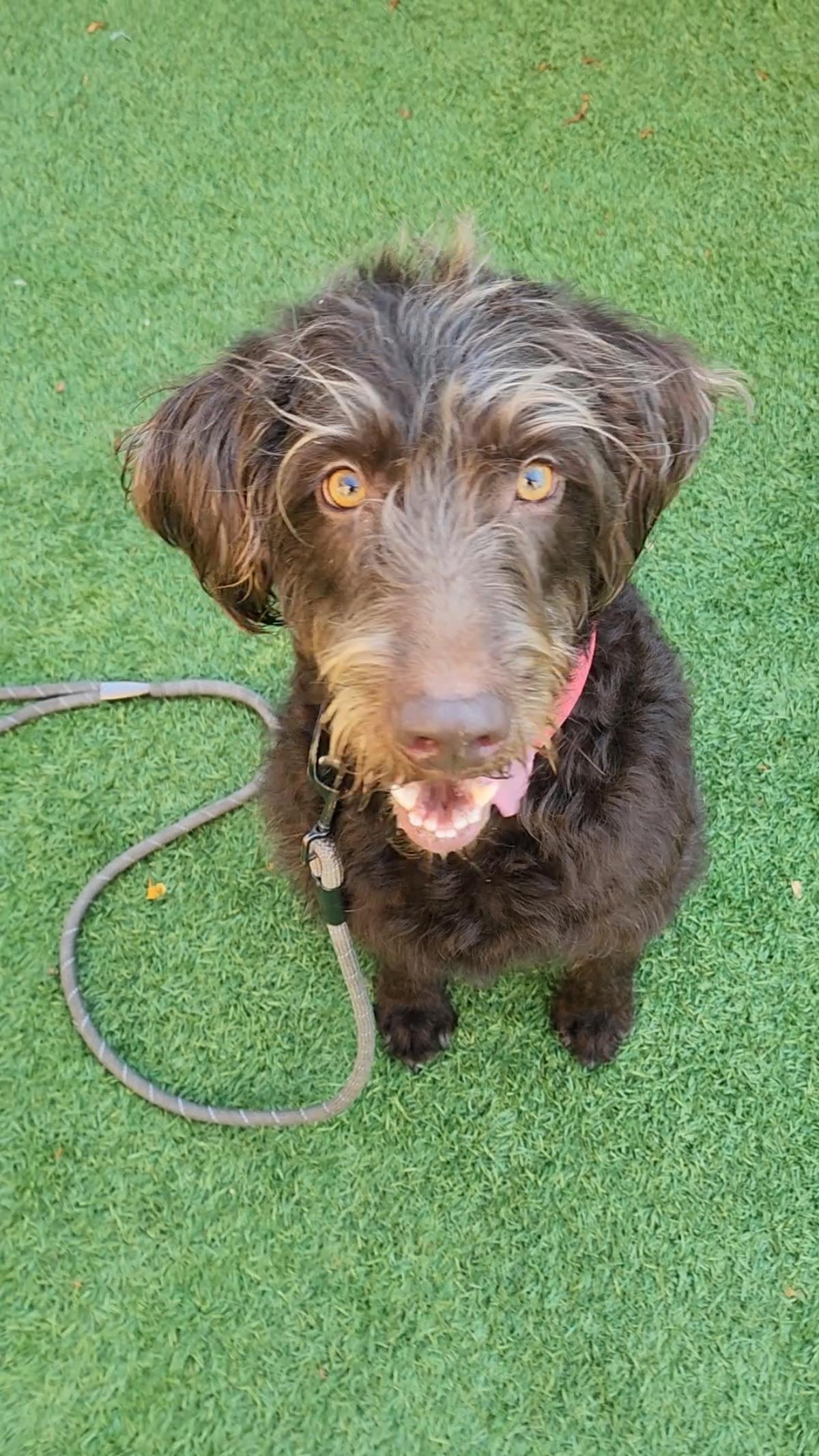 Kona