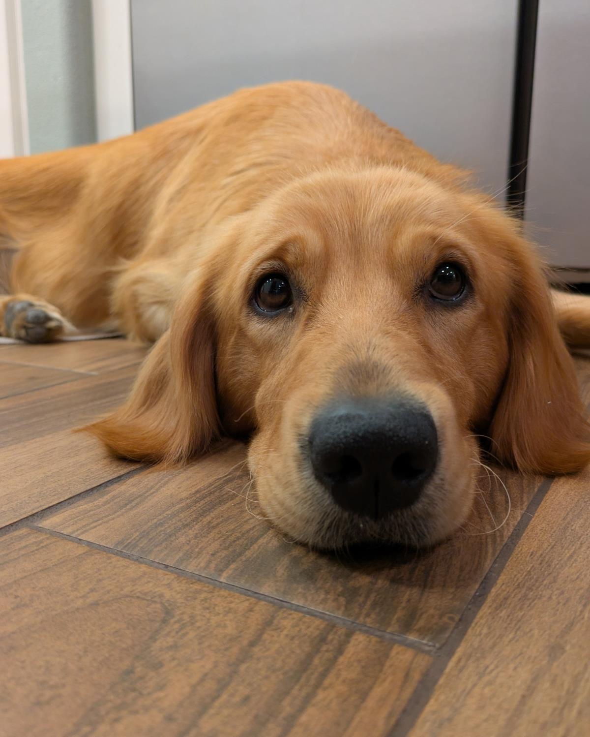 Penny