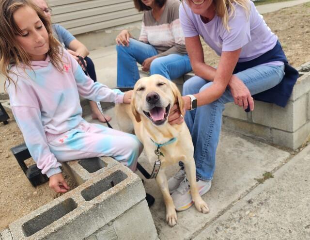Chloe’s Sister - Cookie