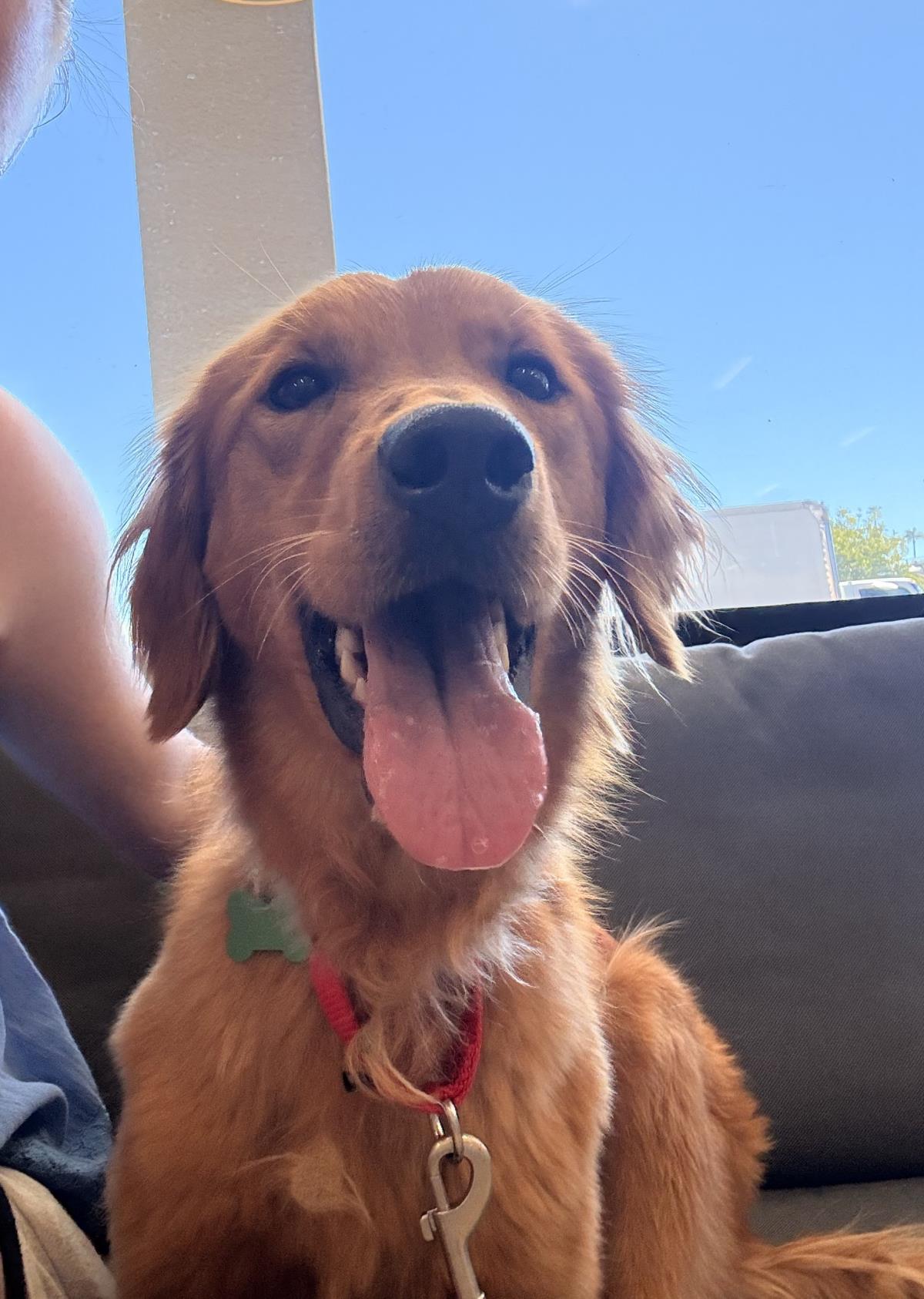 Dakota - Application List Full