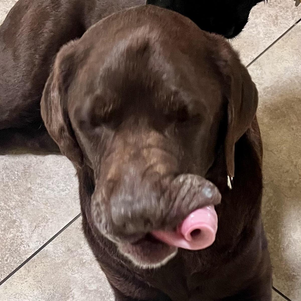 Fudge