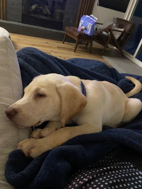 Samantha