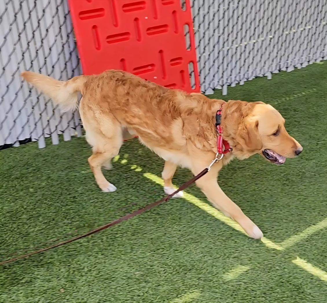 Benny