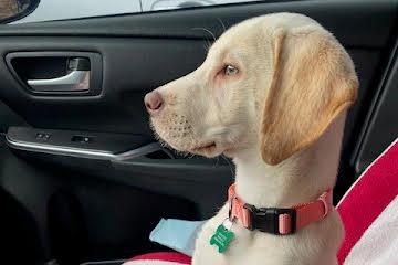 Samantha
