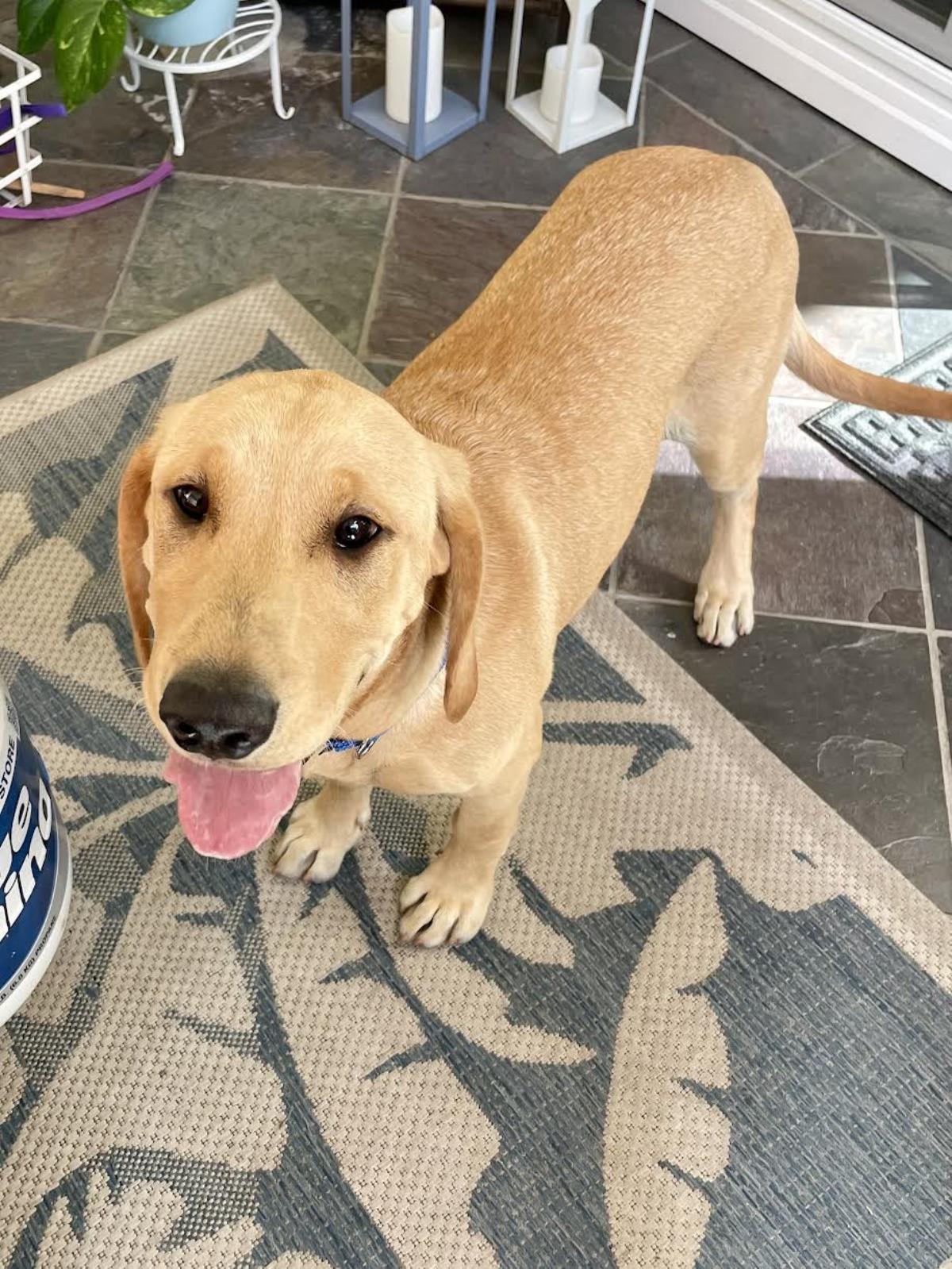Tucker