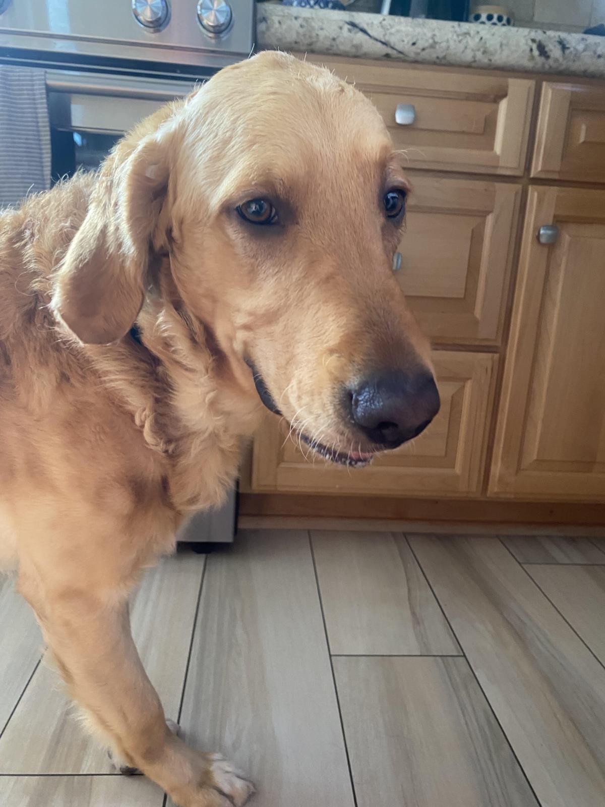 Benny
