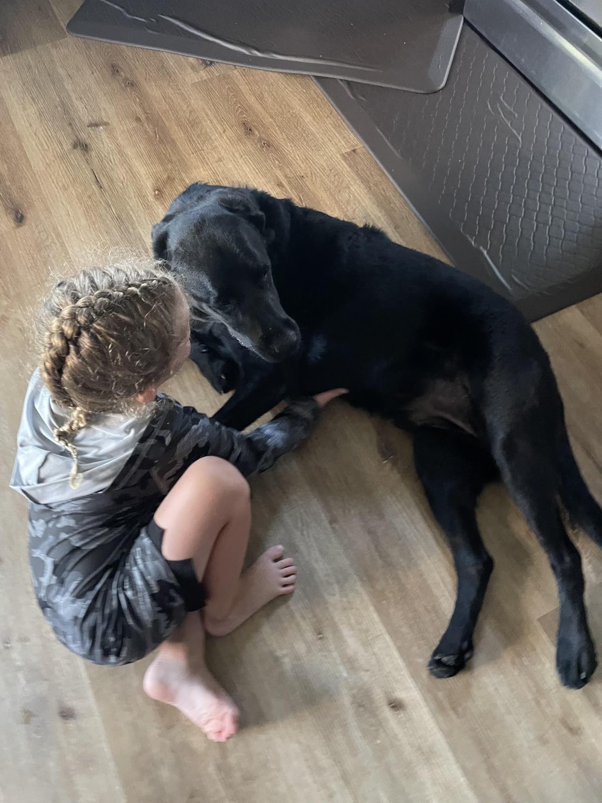 Maverick - Adopted
