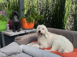 Myla
