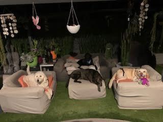 Myla