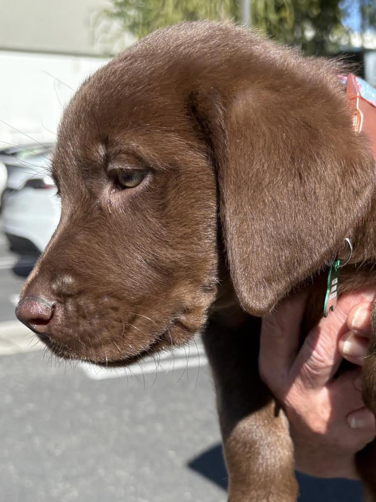 Nicole - Waitlist Full