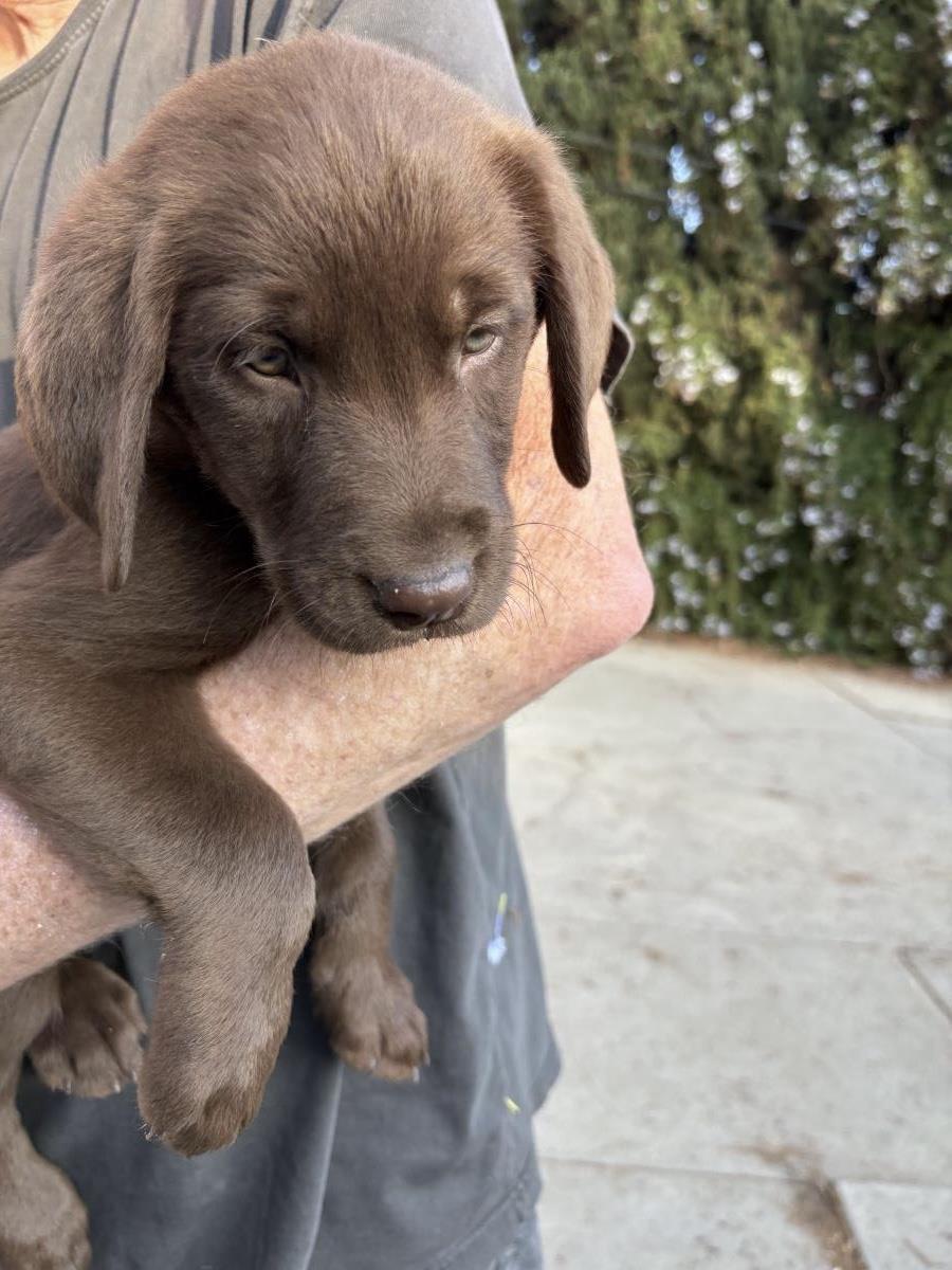 Nicole - Waitlist Full