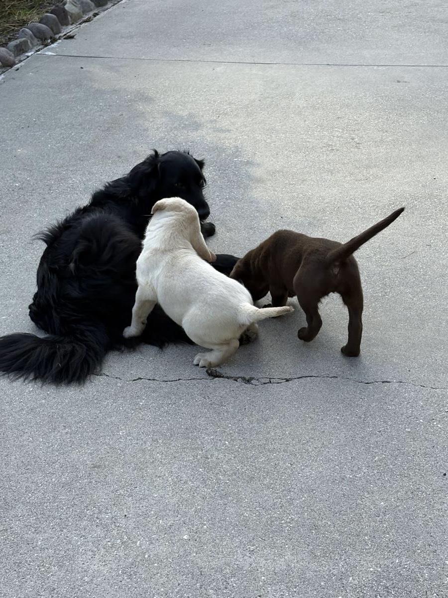 Nicole - Waitlist Full