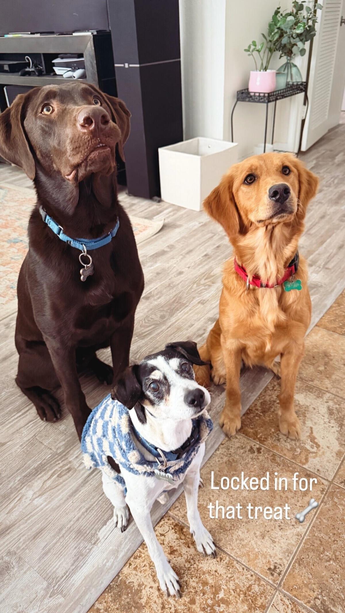 Erika - Training Hold