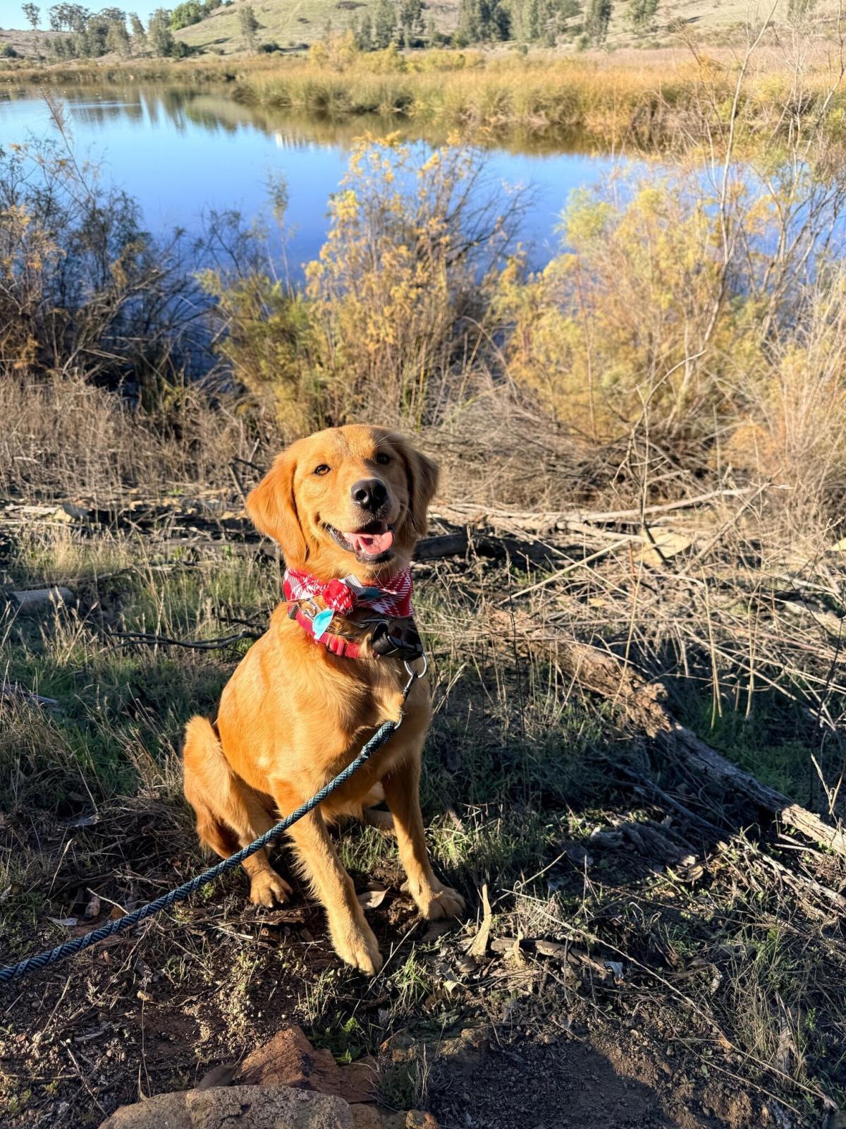 Erika - Training Hold