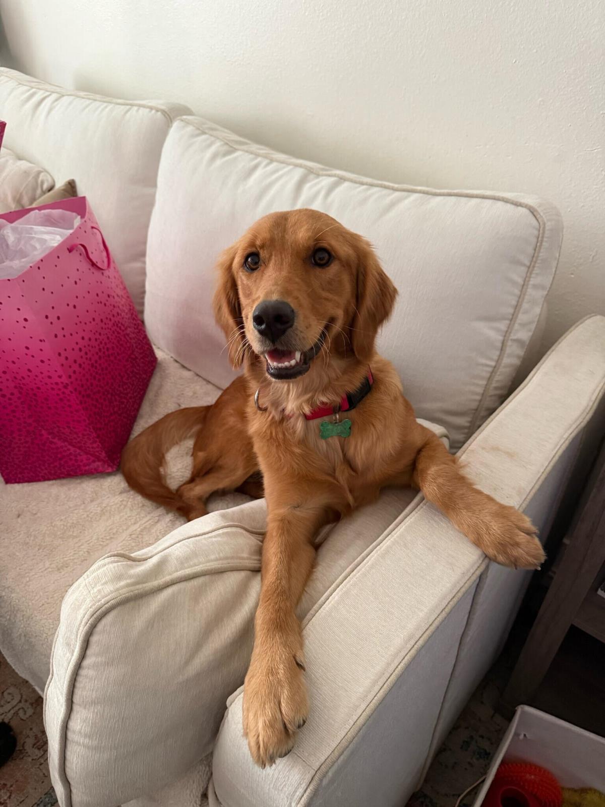 Erika - Training Hold