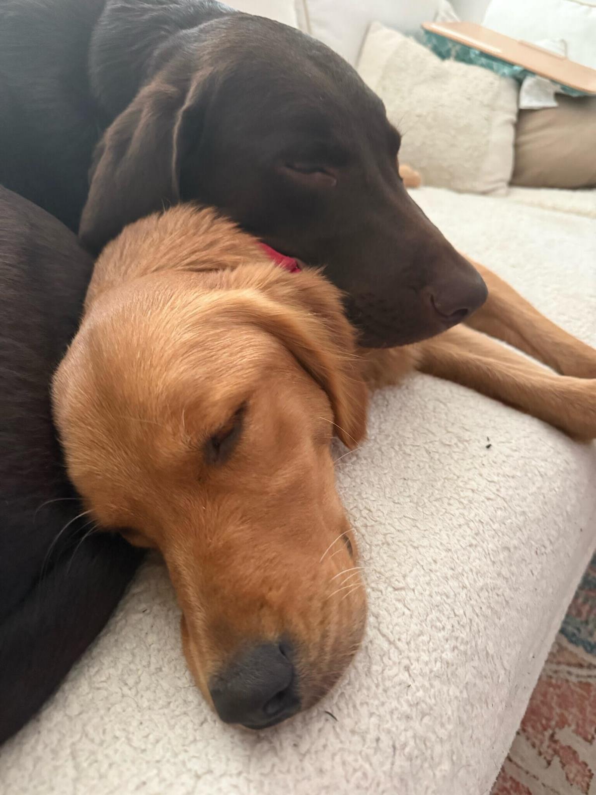 Erika - Training Hold