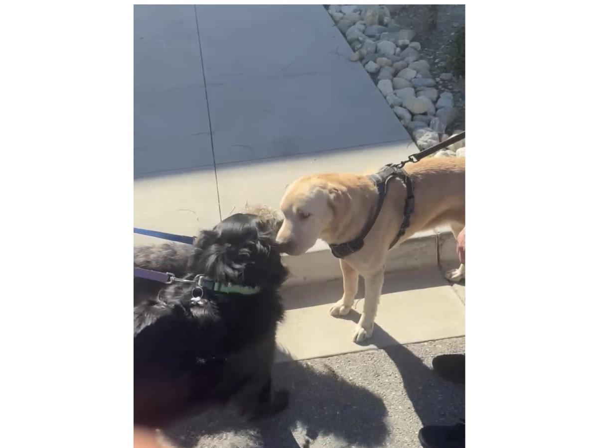 Jewels - Medical Hold