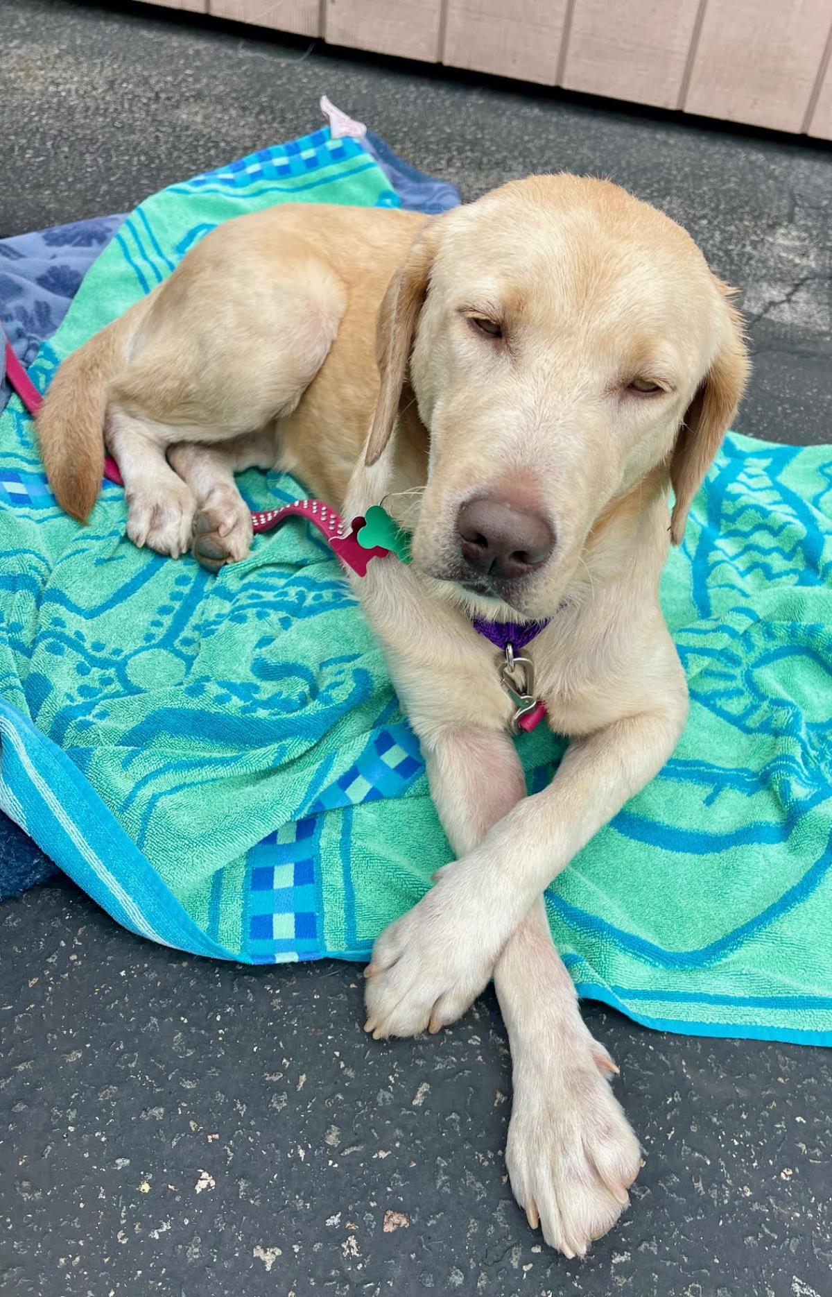 Jewels - Medical Hold