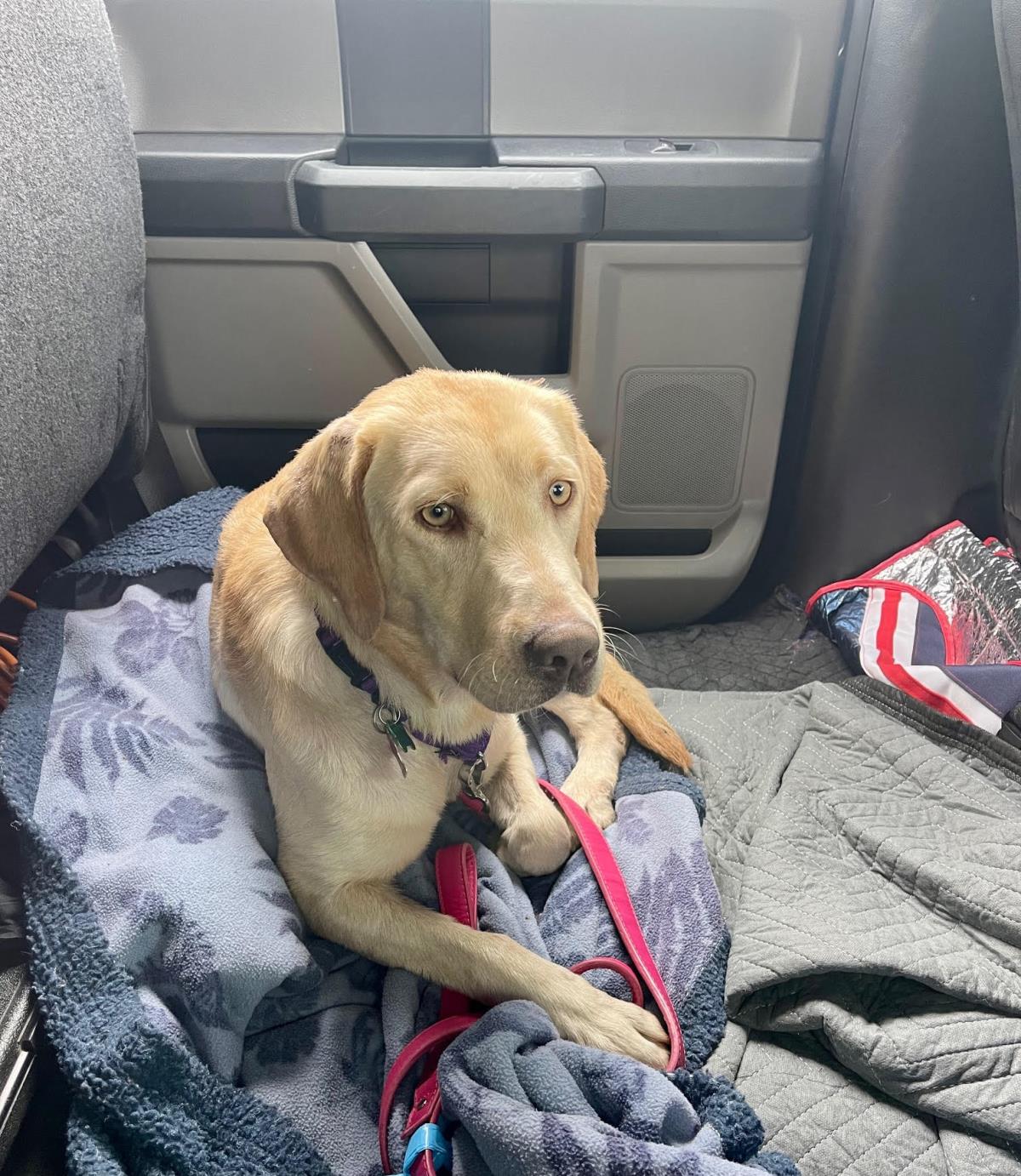 Jewels - Medical Hold