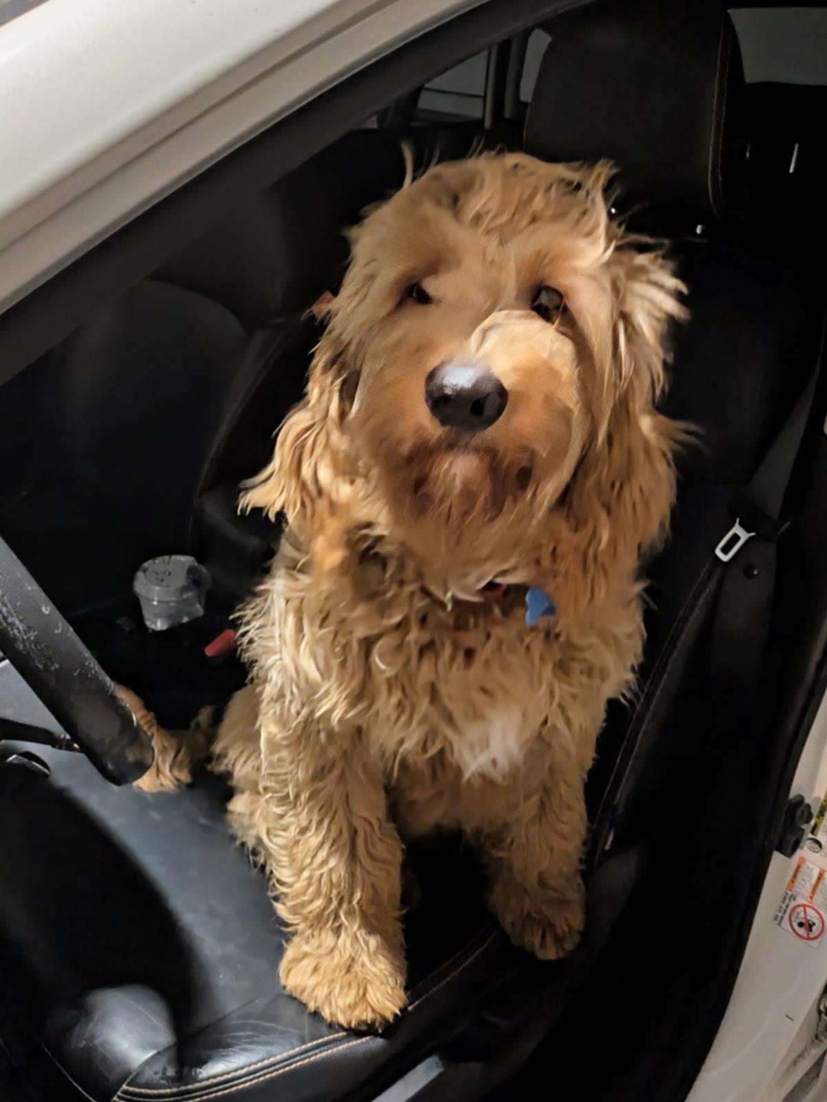 Goldie Hawn - Application List Full