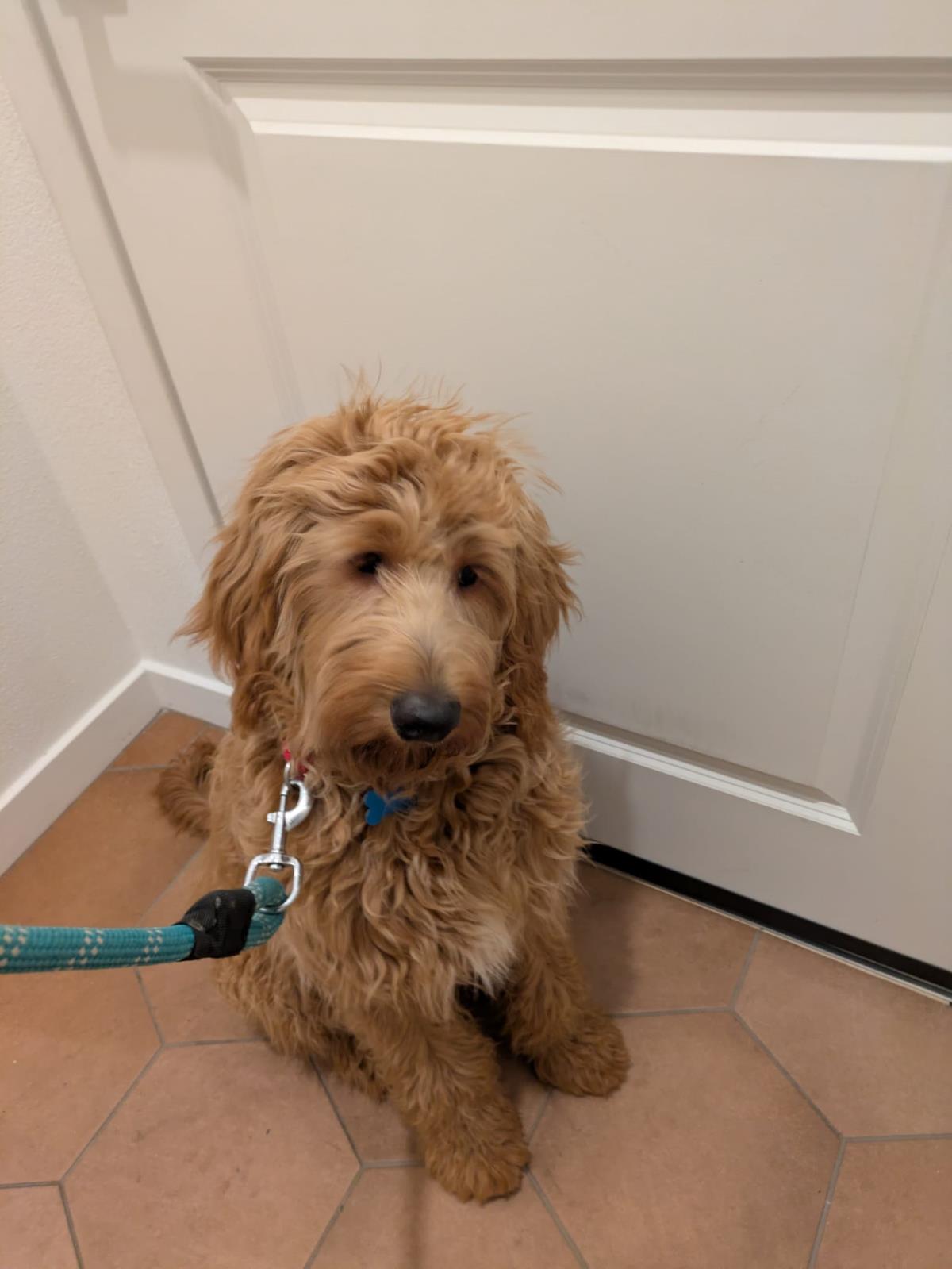 Goldie Hawn - Application List Full