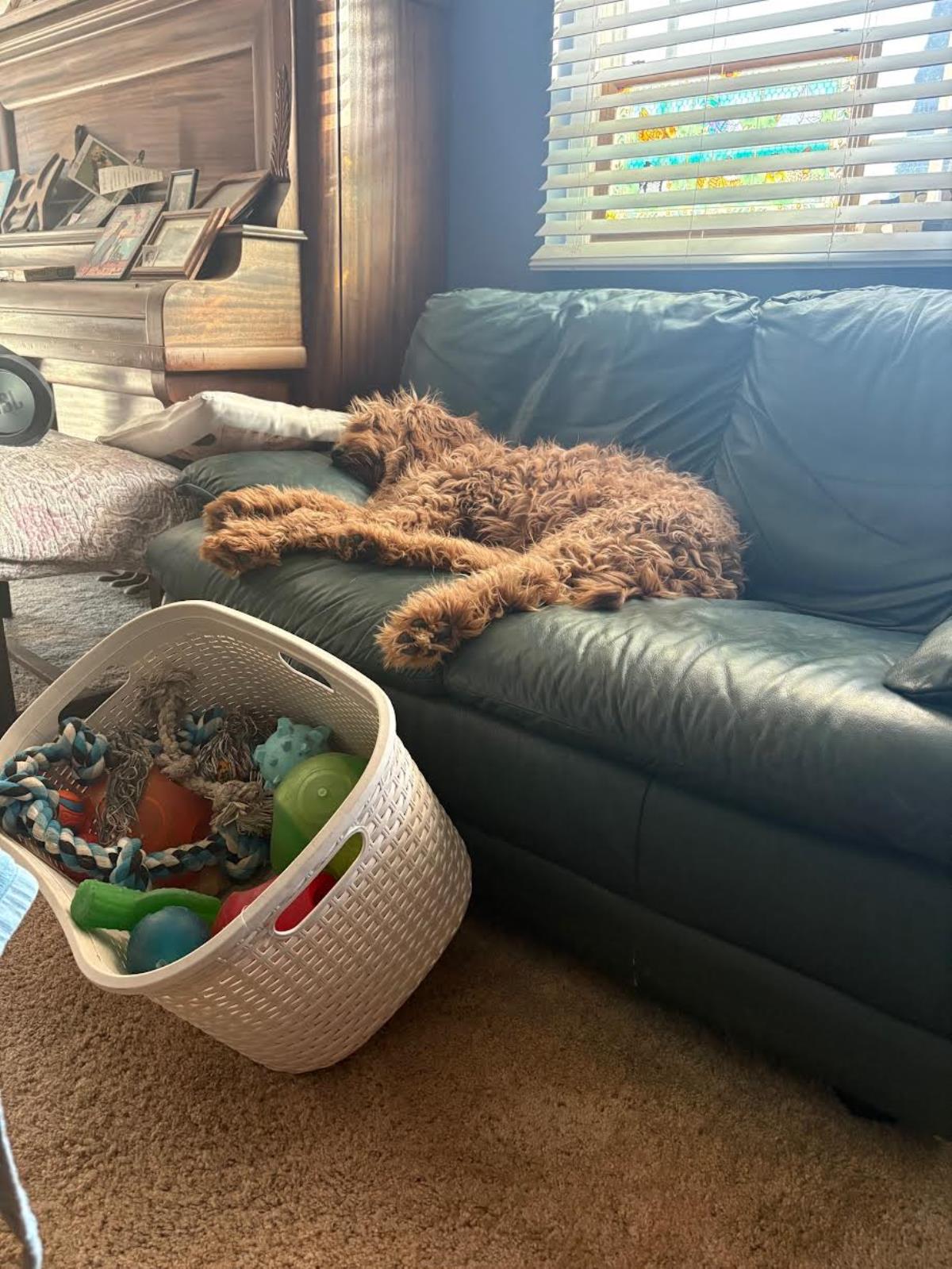 Goldie Hawn - Application List Full