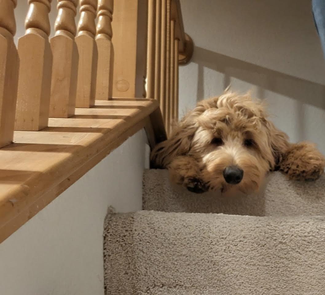 Goldie Hawn - Application List Full