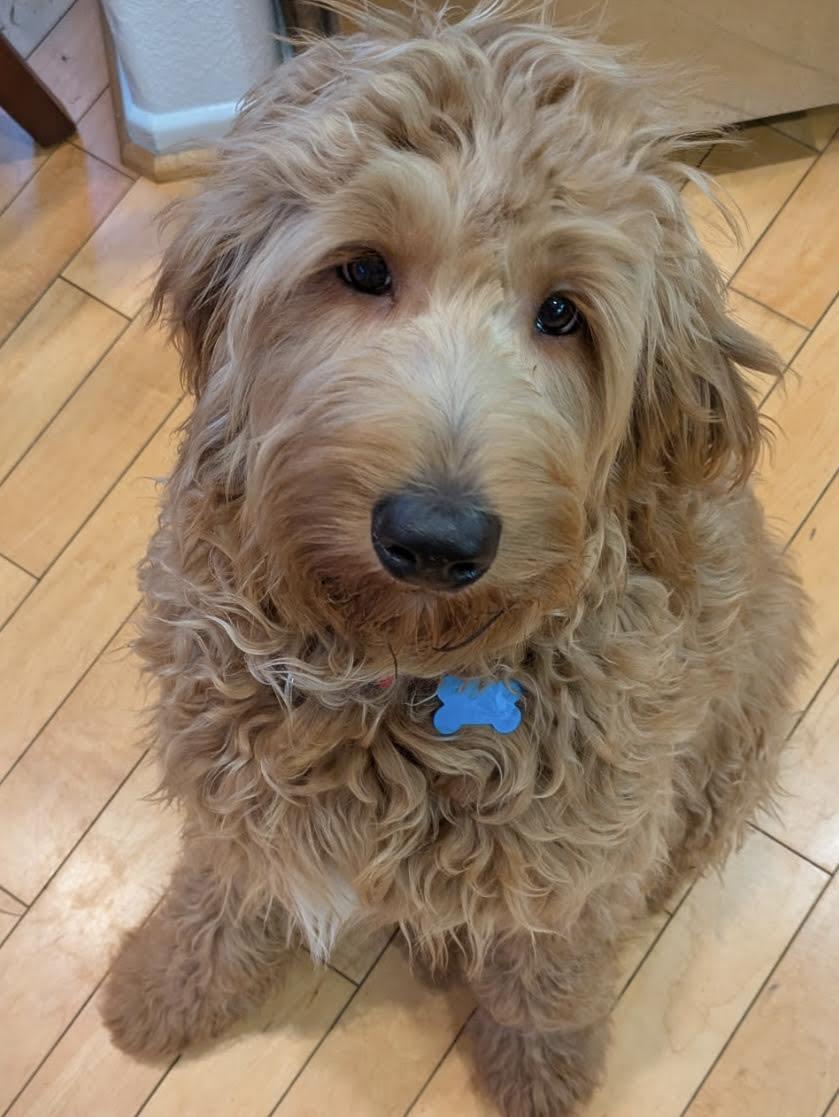 Goldie Hawn - Application List Full