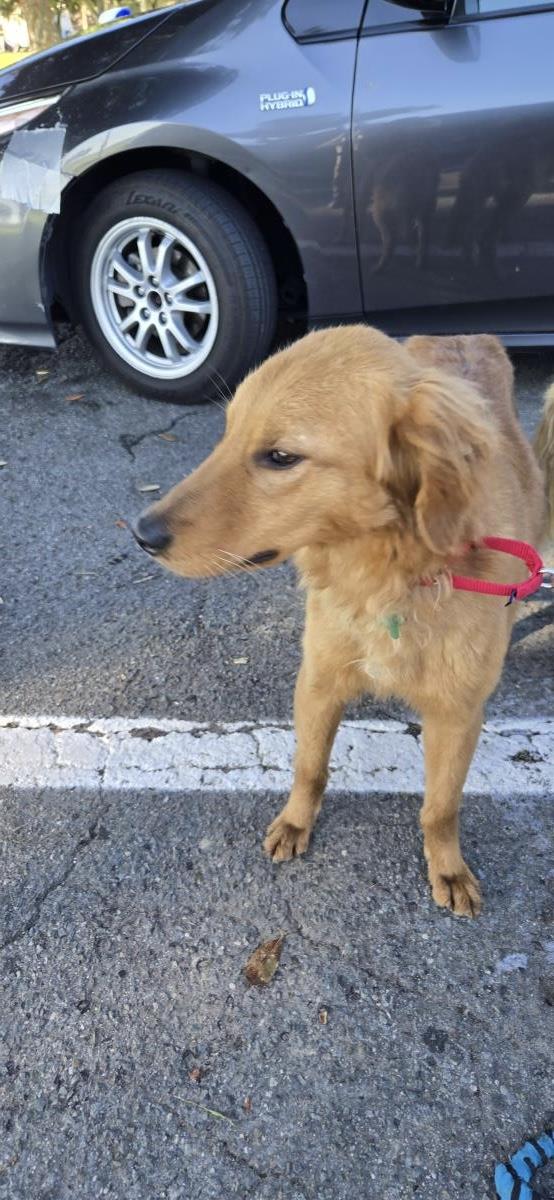 Dakota - Application List Full