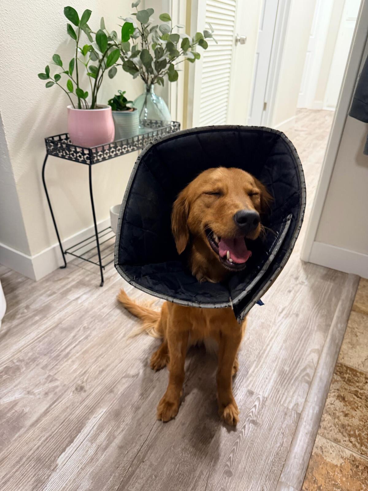 Dakota - Application List Full