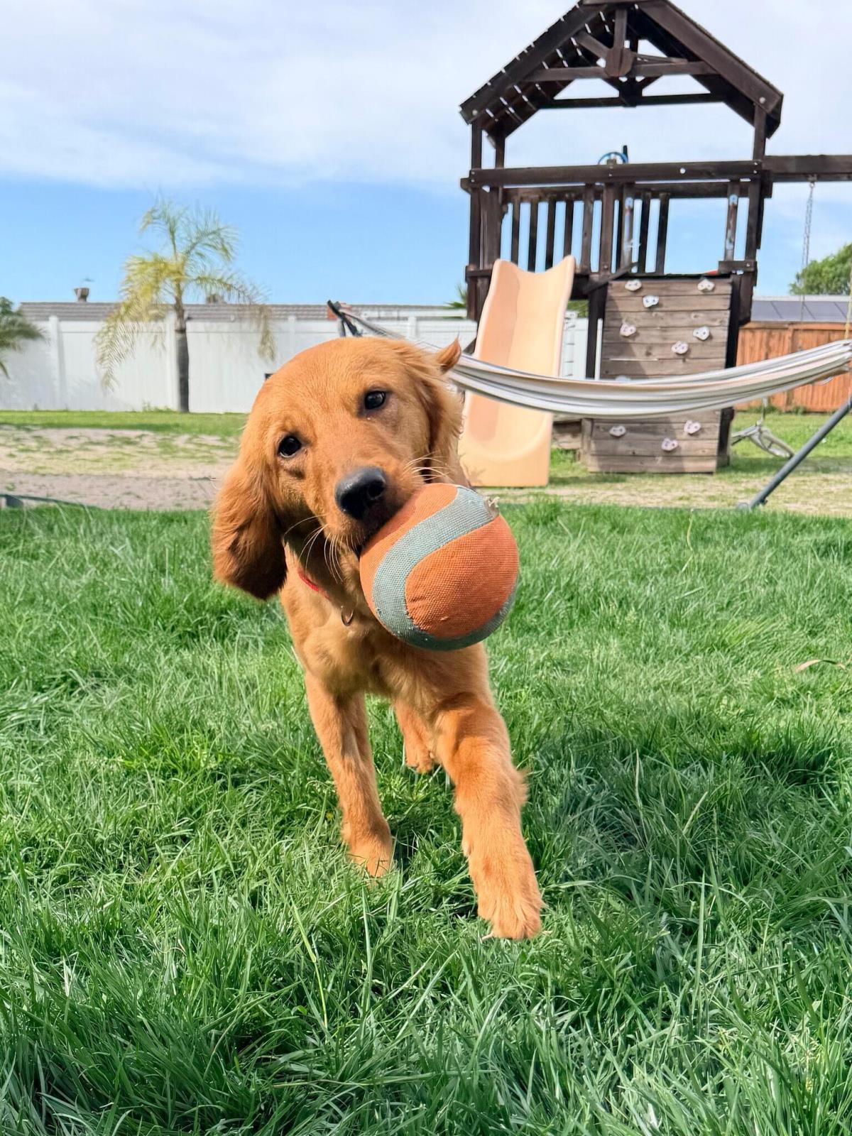 Dakota - Application List Full