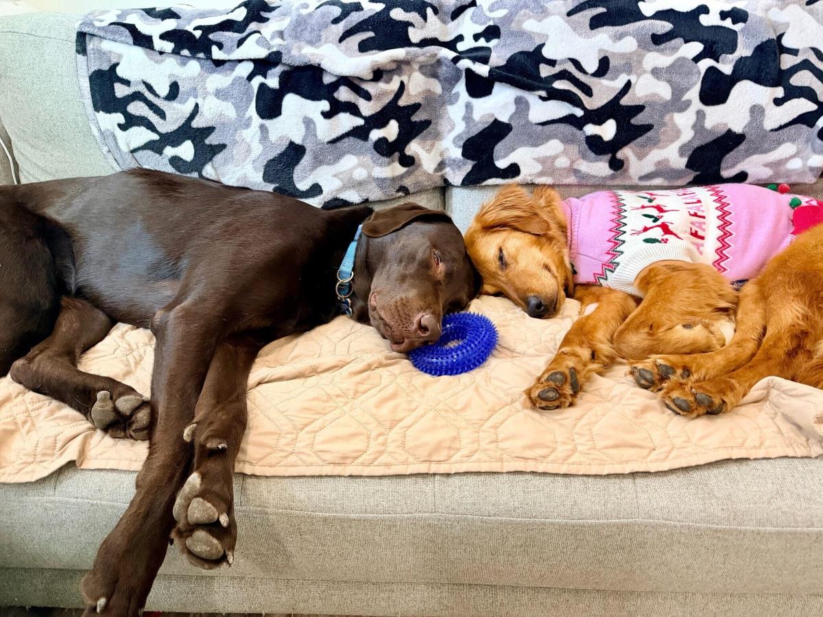 Dakota - Application List Full