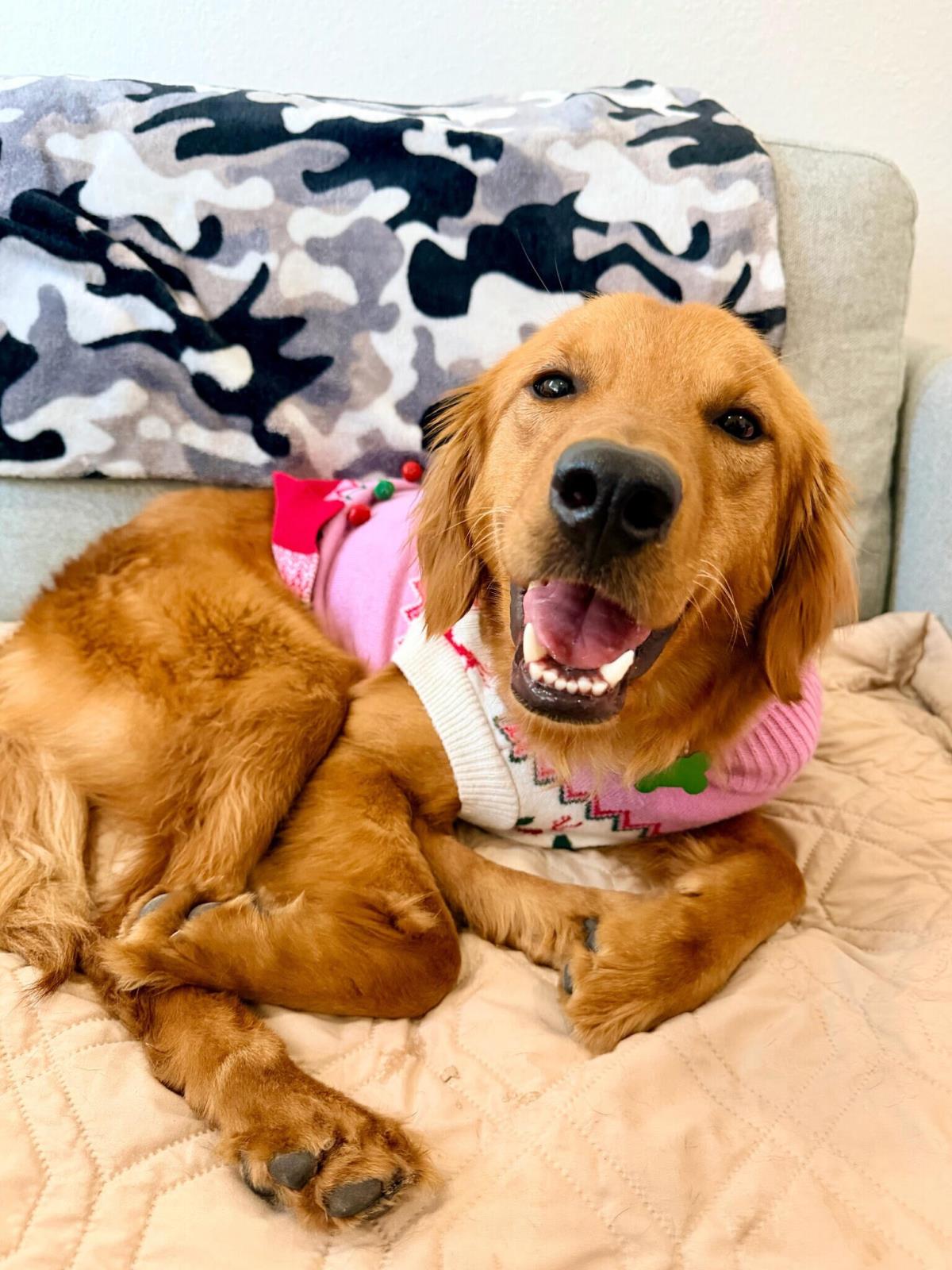 Dakota - Application List Full