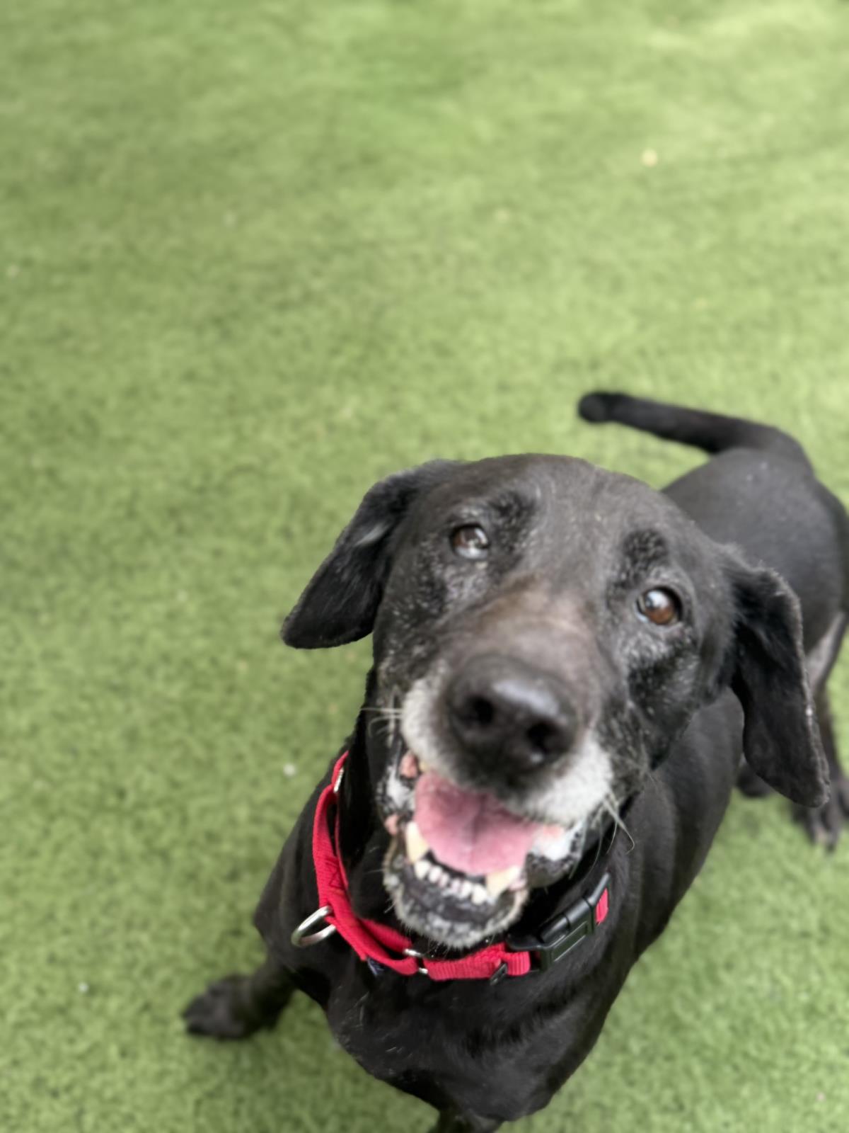 Edith - Medical Hold