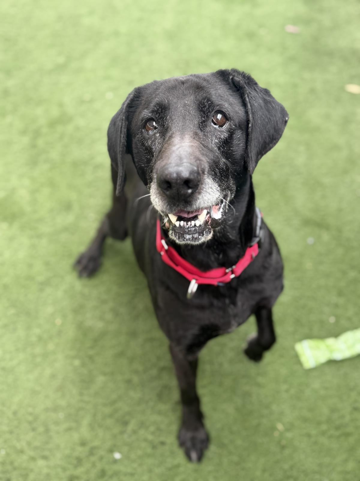 Edith - Medical Hold