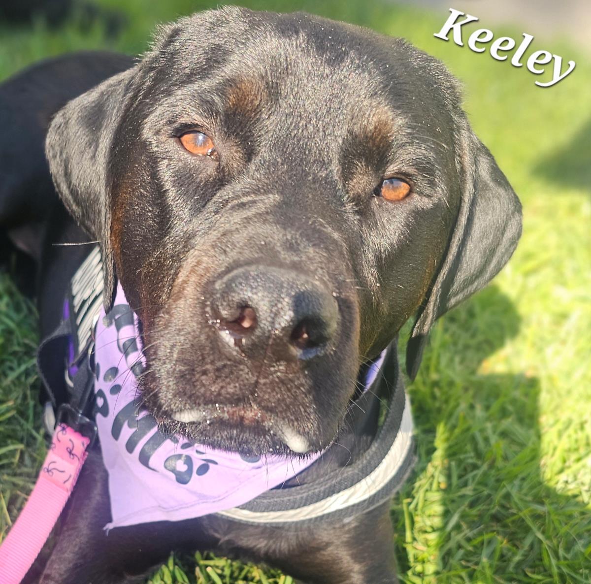 Keeley - Training Hold