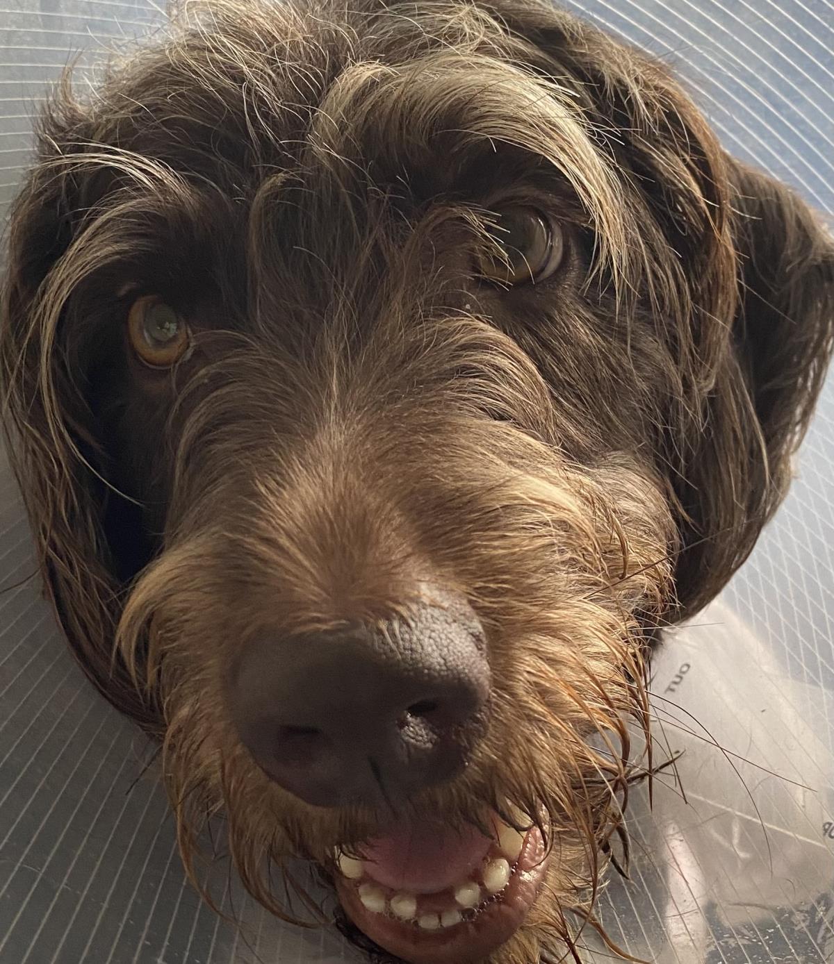 Kona