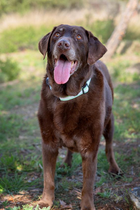 Maggie - Special Needs