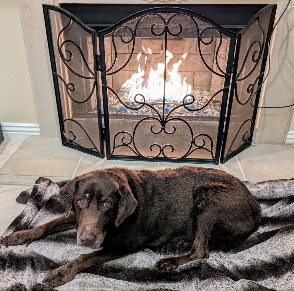 Maggie - Special Needs