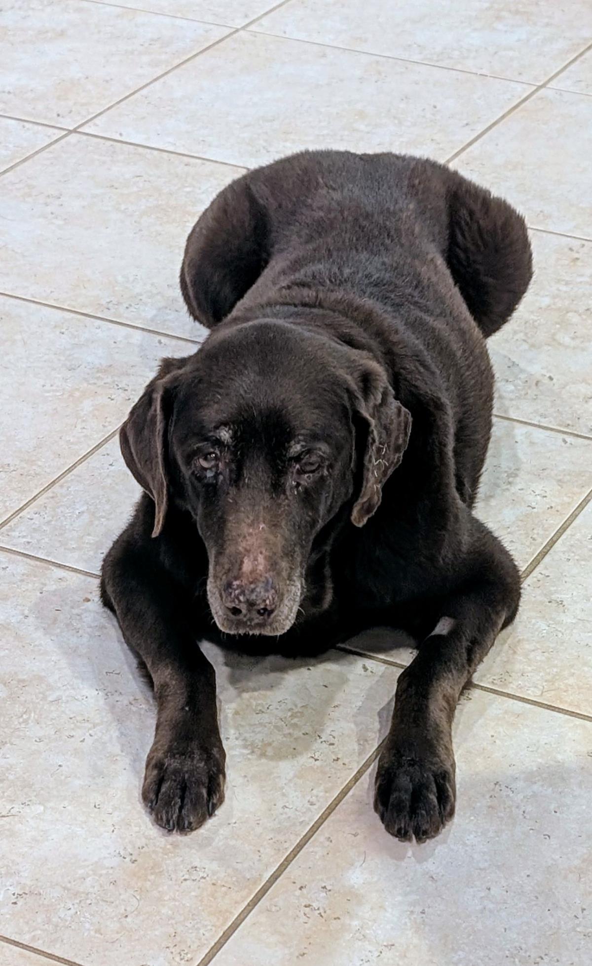 Maggie - Special Needs