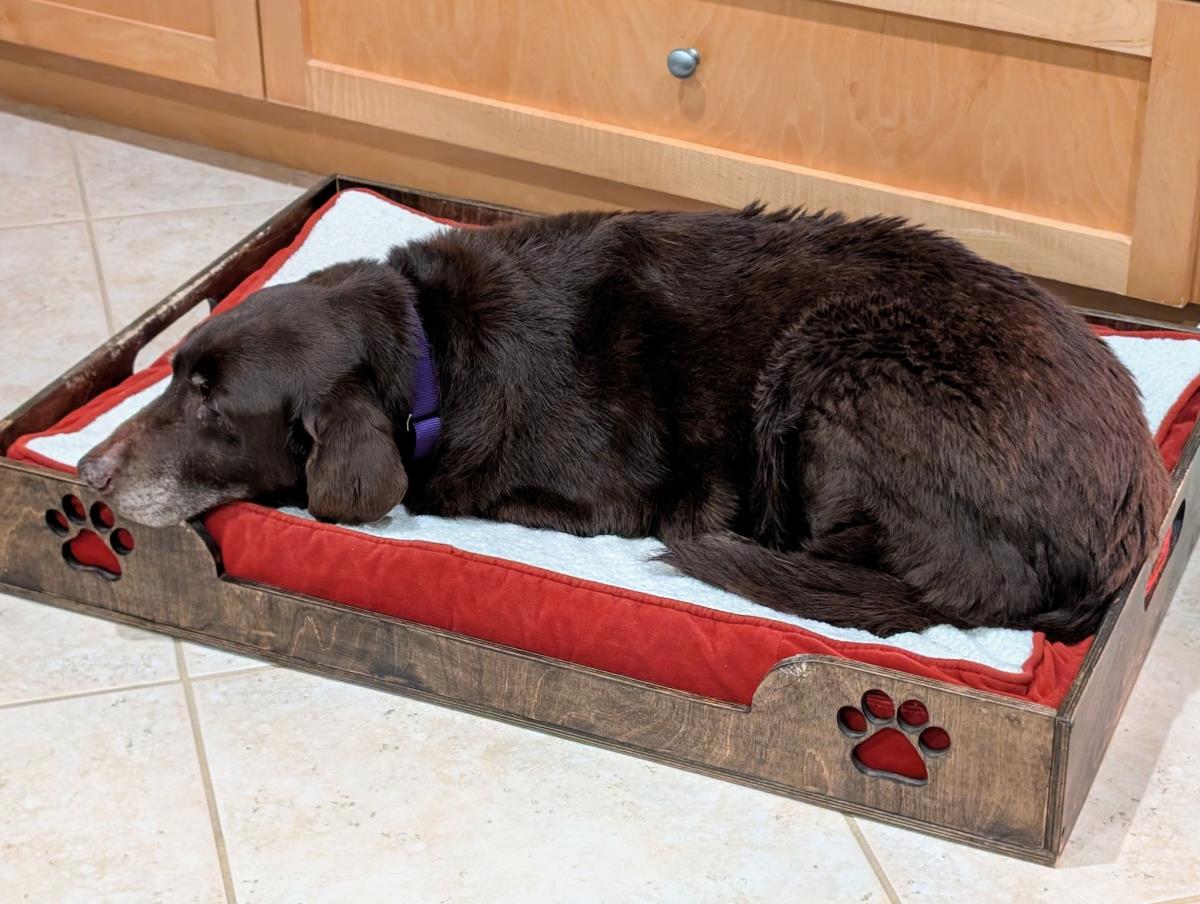 Maggie - Special Needs