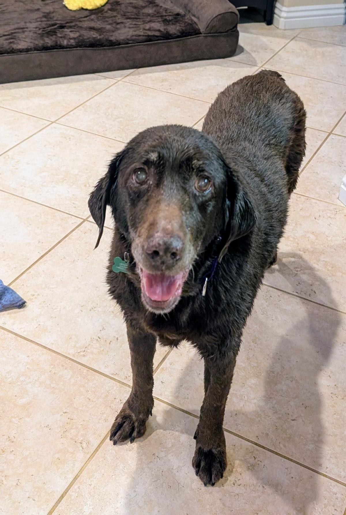 Maggie - Special Needs