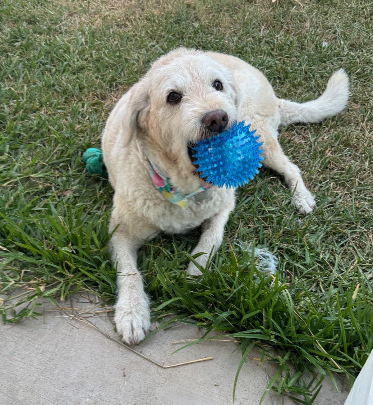 Molly