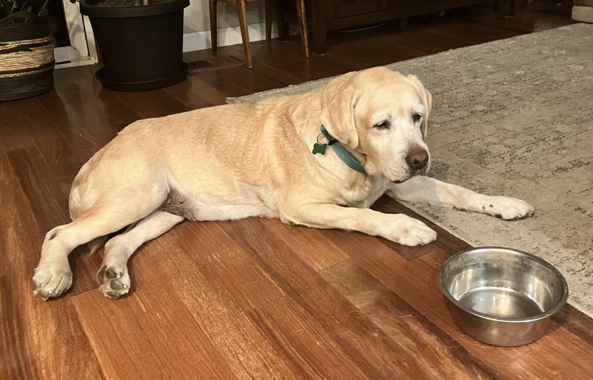 Mya 