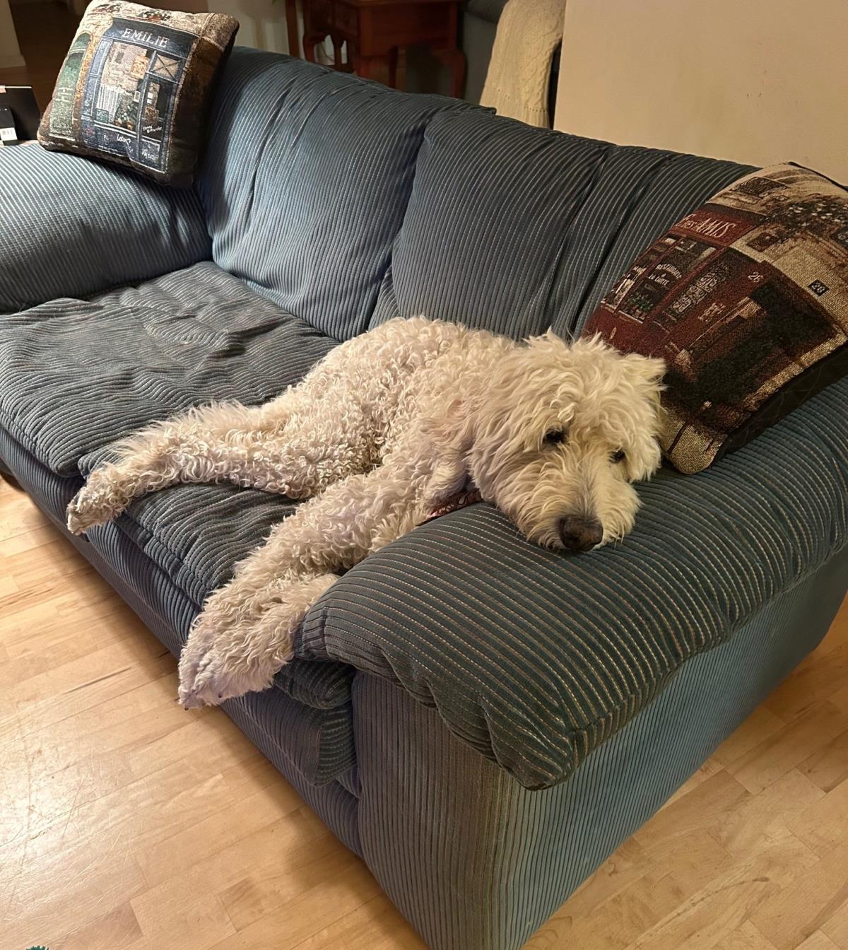 Myla