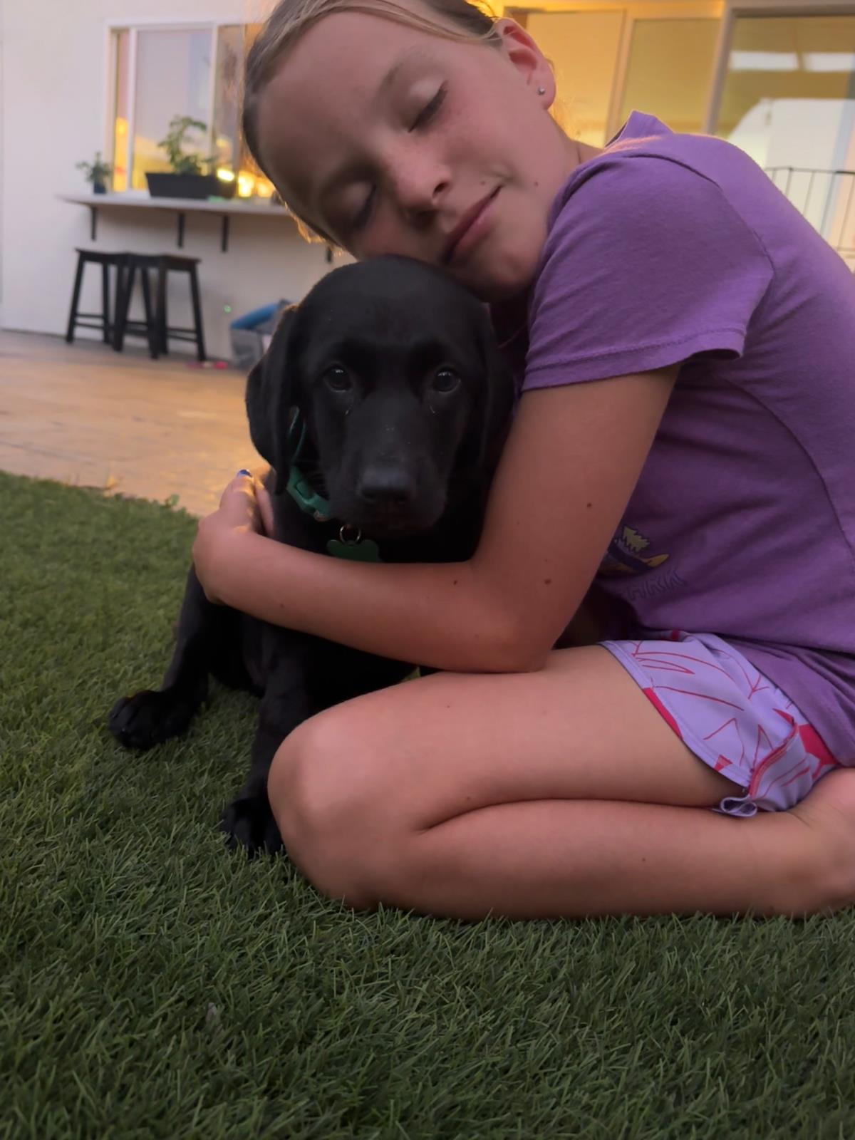 Cosmopolitan Puppy - Paris - Medical Hold